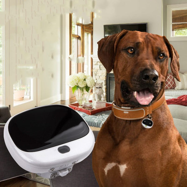 Mini GPS Cat Tracker with LED Light