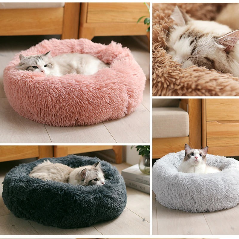 Super Soft Washable Velvet Dog Bed