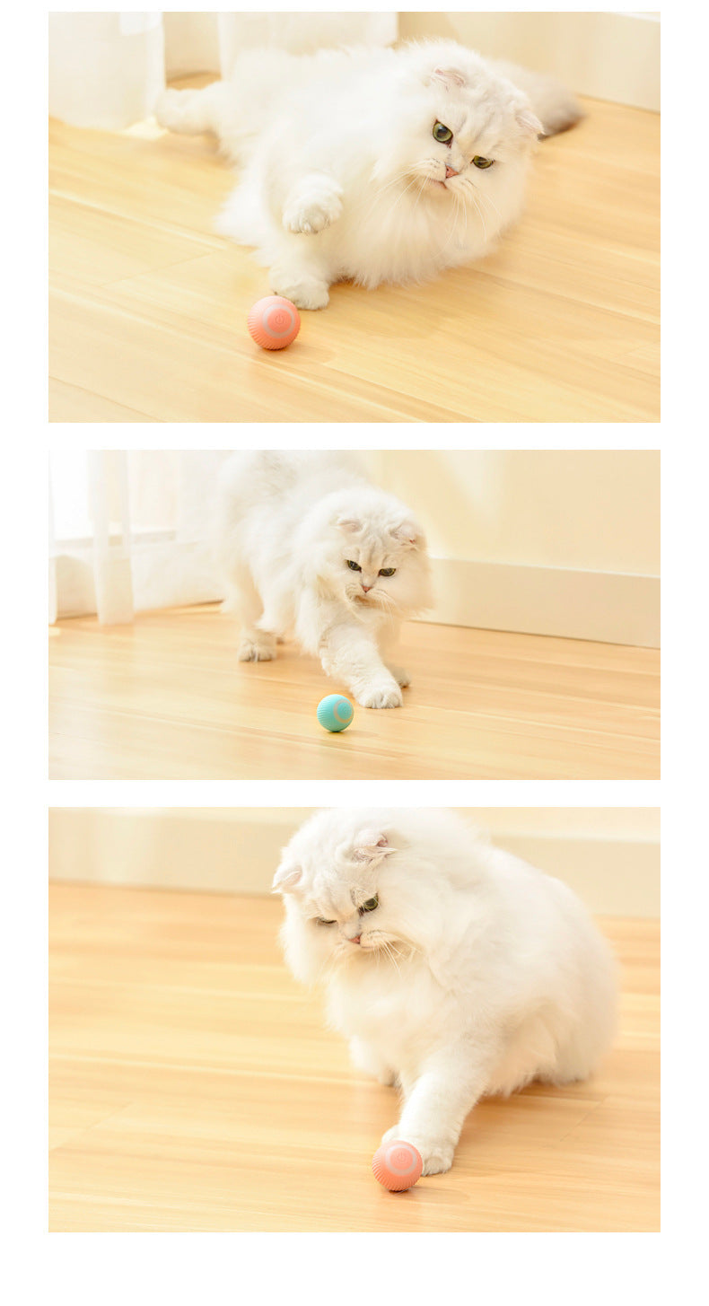 Automatic Rolling Cat Toy