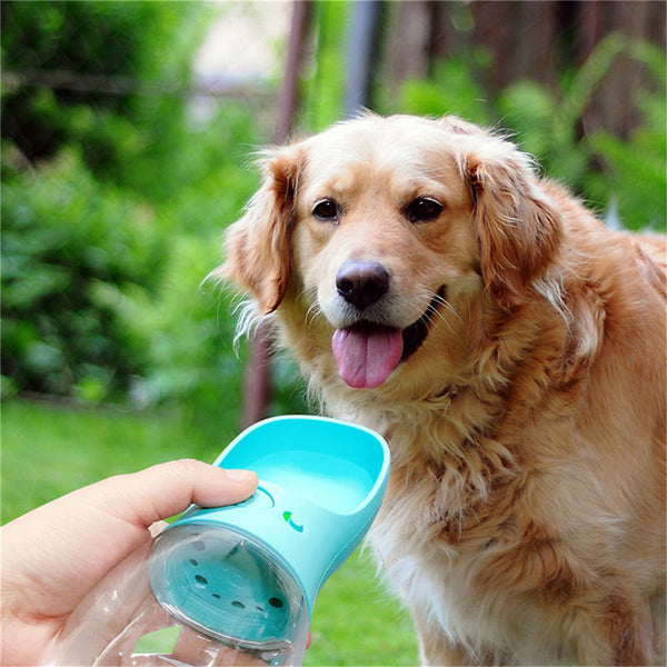Portable Dog Water Bottle for Outdoor Walking & Travel