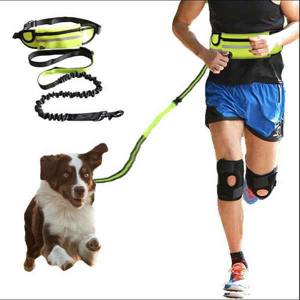 Hands-Free Dog Leash with Shock Absorbing Bungee, Phone Pocket & Water Bottle Holder for Large Dogs (Up to 180lbs)