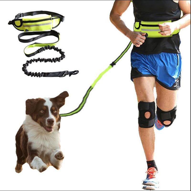 Hands-Free Dog Leash with Shock Absorbing Bungee, Phone Pocket & Water Bottle Holder for Large Dogs (Up to 180lbs)