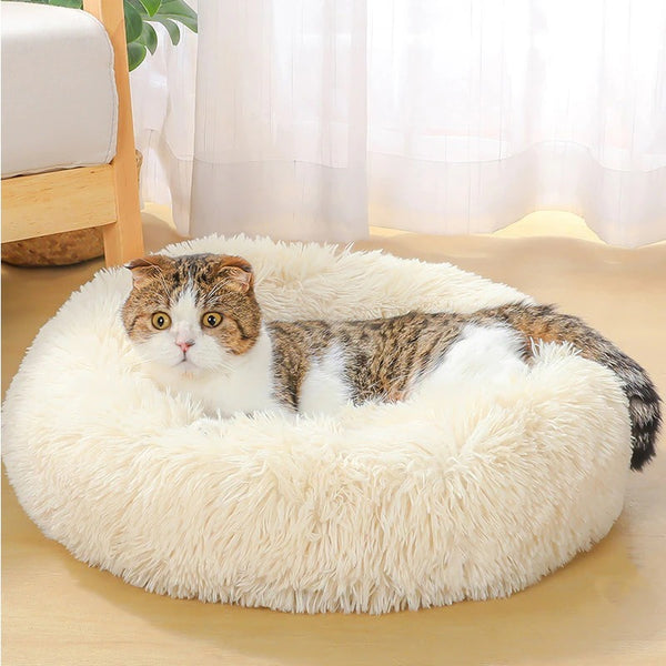 Super Soft Washable Velvet Dog Bed