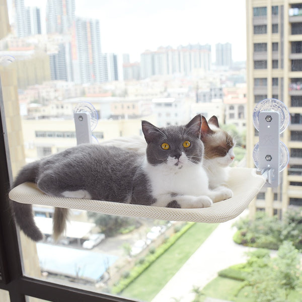 Suction Cup Window Cat Hammock