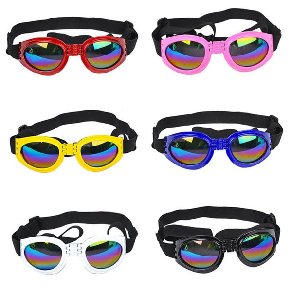 Pet Sunglasses for Dogs & Cats