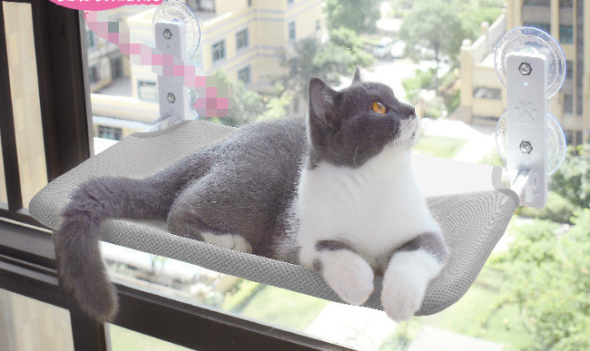 Suction Cup Window Cat Hammock