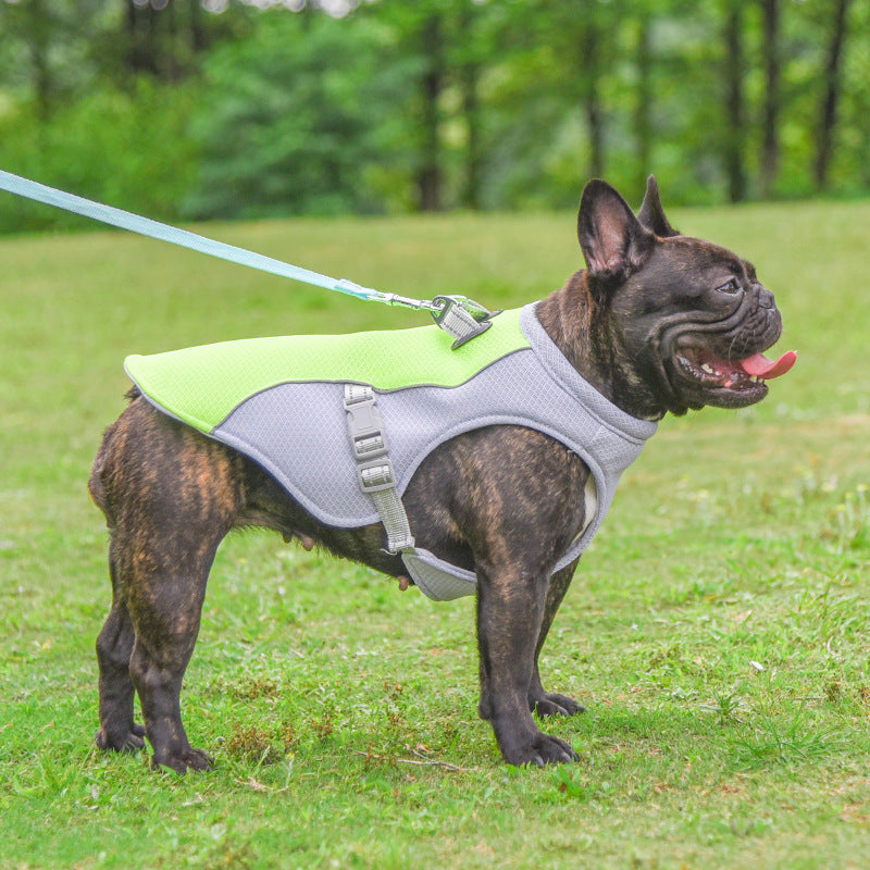 Cooling Dog Vest for Summer